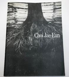 (カタログ)崔在銀　Choi Jae-Eun