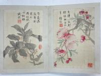 森琴石(鉄橋道人)書画帖　(仮題)